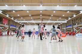 [CBA]常规赛1月6日：南京天之蓝VS辽宁本钢 王岚嵚集锦